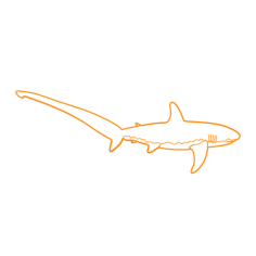 Animals Sharks Thresher Shark Engraving Svg Design, Free Vectors File